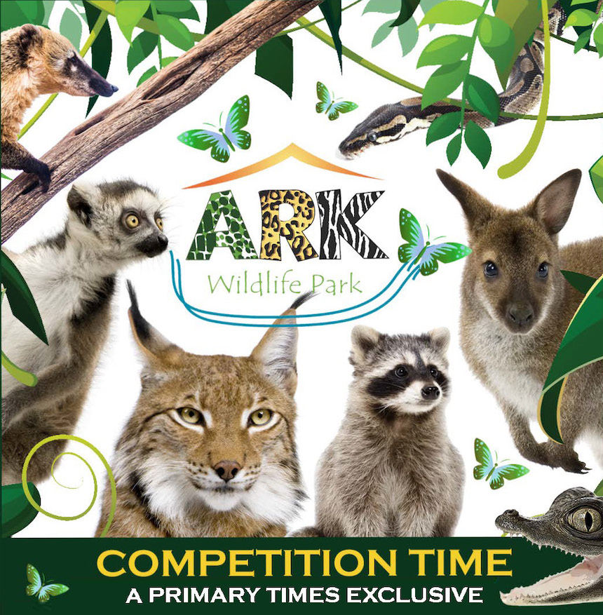 Win a Family Pass to Ark Wildlife Park! Primary Times
