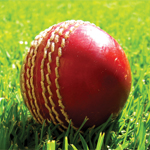 Cricket Ball