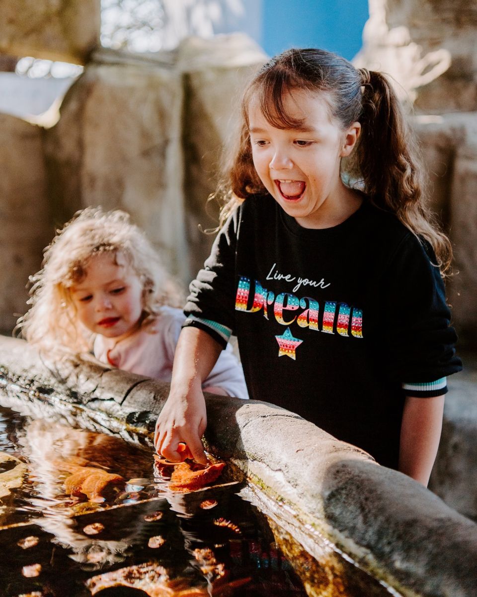 Family Summer Holiday activities in Dorset 2022  Primary Times