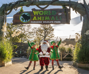 Advert: https://www.pwpark.com/events/christmas-at-paradise/