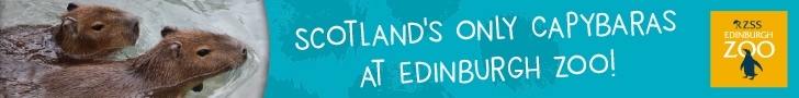 Advert: https://www.edinburghzoo.org.uk/tickets?utm_source=primary-times-edi&utm_medium=digital&utm_campaign=EZ-visit-2025&utm_content=easter-issue