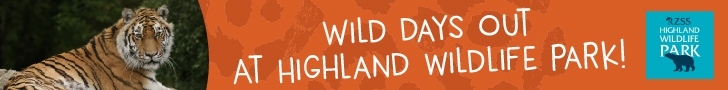 Advert: https://www.highlandwildlifepark.org.uk/tickets?utm_source=primary-times-fife&utm_medium=digital&utm_campaign=HWP-visit-2025&utm_content=easter-issue