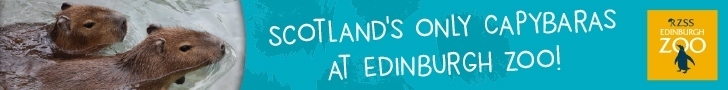Advert: https://www.edinburghzoo.org.uk/tickets?utm_source=primary-times-edi&utm_medium=digital&utm_campaign=EZ-visit-2025&utm_content=easter-issue