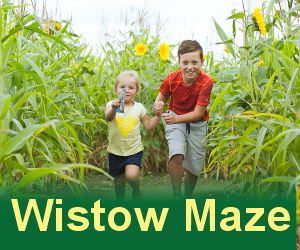 Advert: https://www.wistow.com