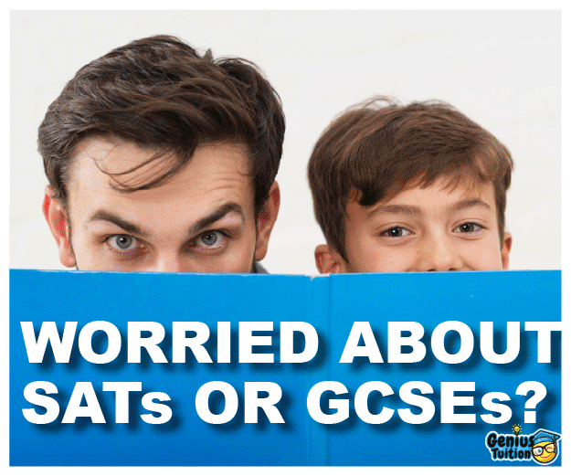 Advert: https://www.geniustuition.co.uk/