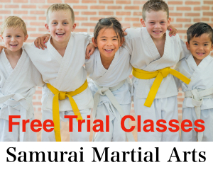 Advert: https://www.samurai-martialarts.co.uk
