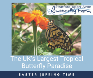 Advert: https://www.butterflyfarm.co.uk/attraction/