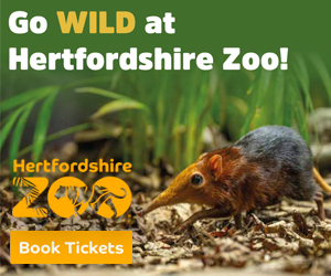 Advert: https://hertfordshirezoo.com/