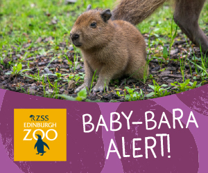 Advert: https://www.edinburghzoo.org.uk/tickets?utm_source=primary-times-edi&utm_medium=digital&utm_campaign=EZ-visit-2026&utm_content=summer-MPU-ad