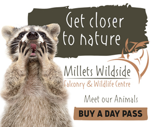 Advert: https://milletswildside.co.uk/
