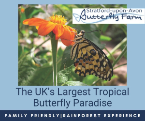 Advert: https://www.butterflyfarm.co.uk/attraction/news/great-british-summer-savings