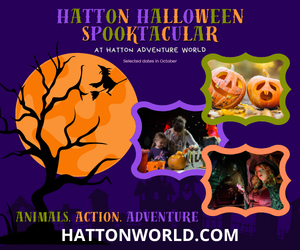 Advert: https://adventure.hattonworld.com/whats-on/halloween-spooktacular-hatton-adventure-world/
