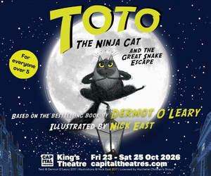 Advert: https://www.capitaltheatres.com/shows/toto-the-ninja-cat/
