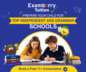 Advert: https://www.examberry.com/