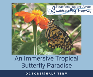 Advert: https://www.butterflyfarm.co.uk/attraction/