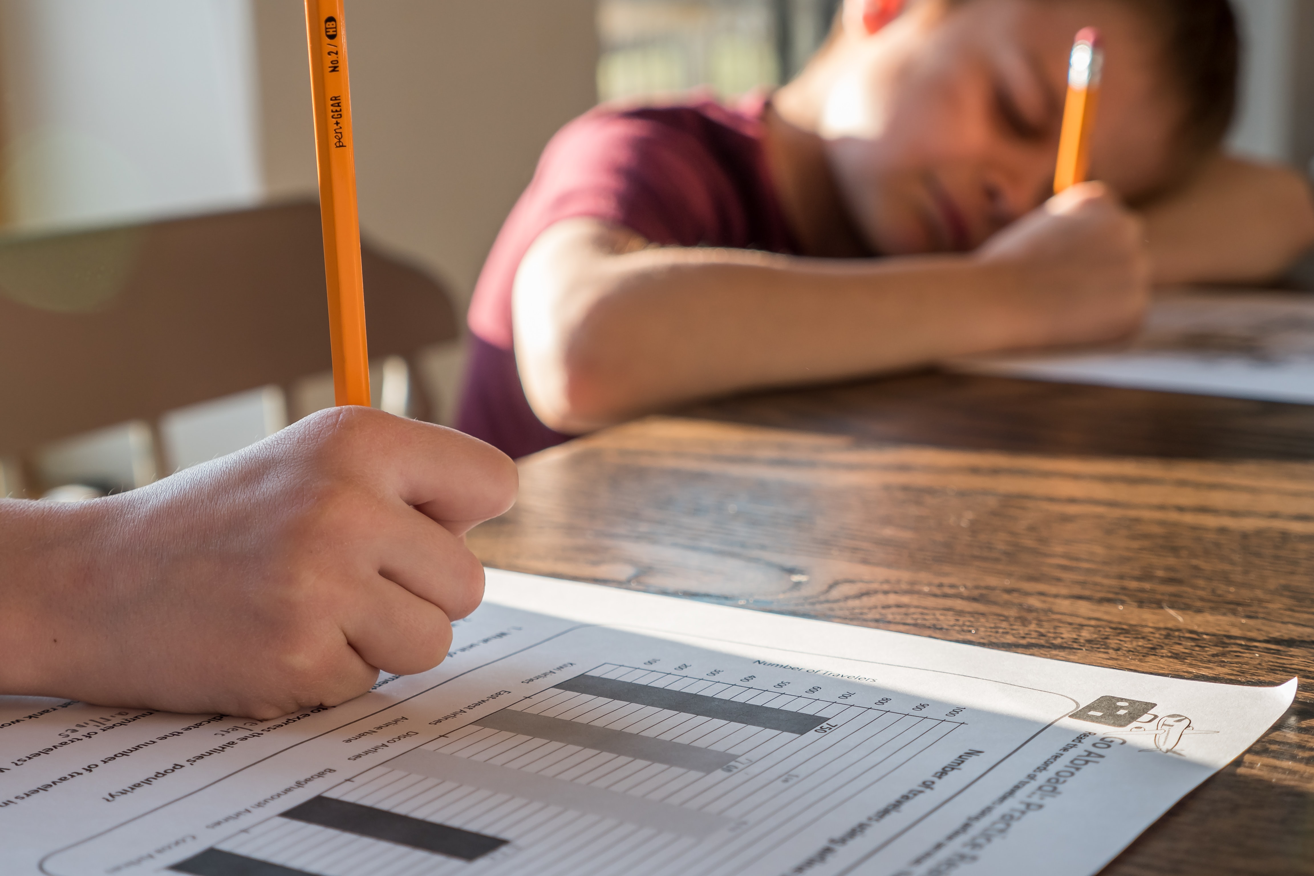 Diary of a home-schooling mother
