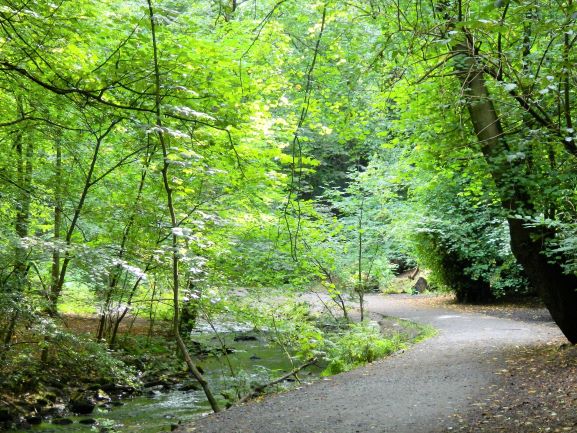 Great family walks in Edinburgh and Lothian