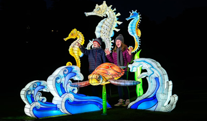 Winter just got a GLOW up!