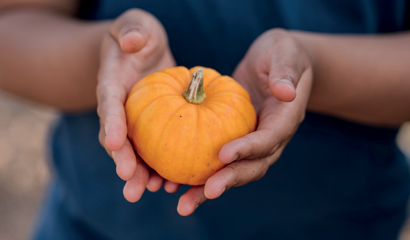 Spooky fun at RHS Garden Hyde Hall